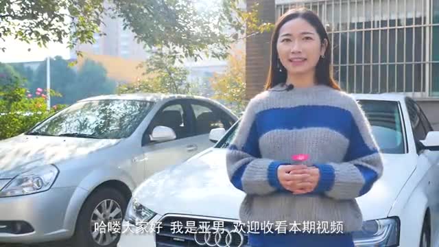 这只金毛火了！撞上兰博基尼，车损近20万，网友：保险能报吗