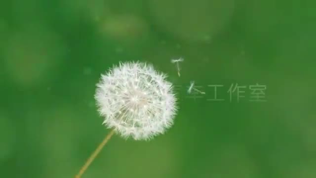 2020北京现代伊兰特实拍能挽救韩系寒潮吗？