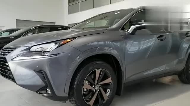 2020款雷克萨斯NX300到店实拍，往后