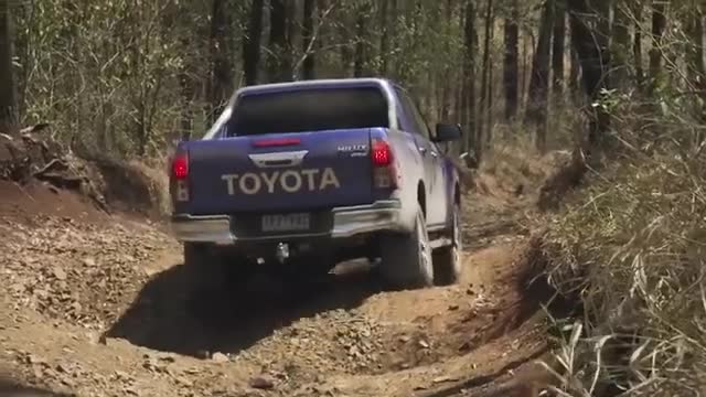 海外越野实拍，哪辆新式皮卡更厉