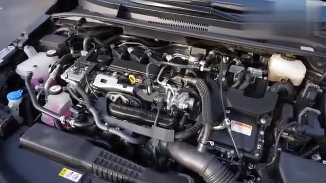 2020款丰田卡罗拉旅行版实拍