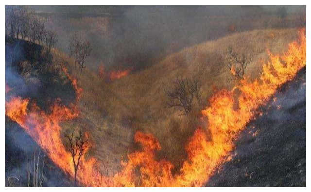 上山火是什么意思啊 724c-iwasyei0307210.jpg