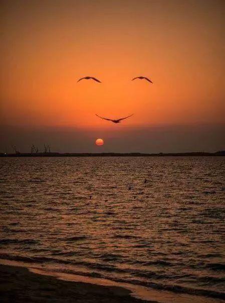 自然奇观图片,实属难见,看到人一生幸福!(图集三)