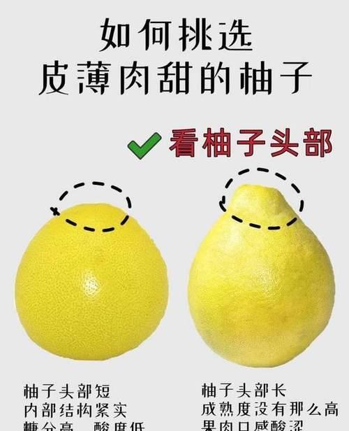 柚子烂了会苦吗柚子怎么挑选比较甜