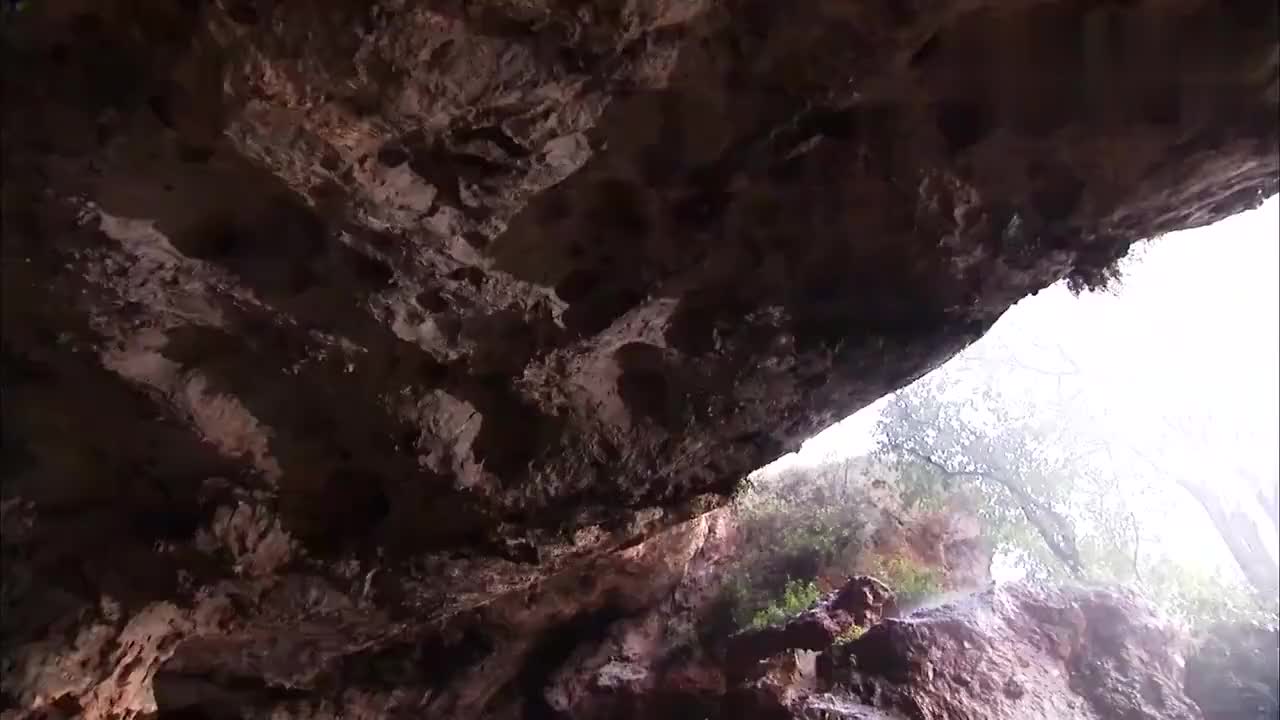 流沙河人口_流沙河沙僧(2)