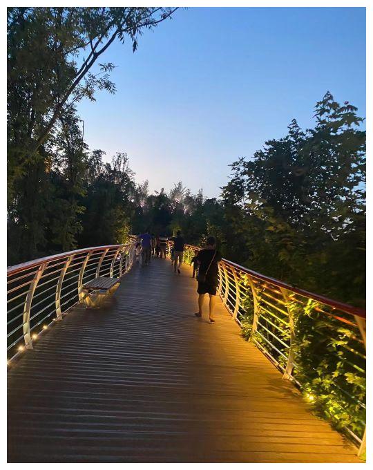 龙泉山森林公园夜景,好漂亮啊