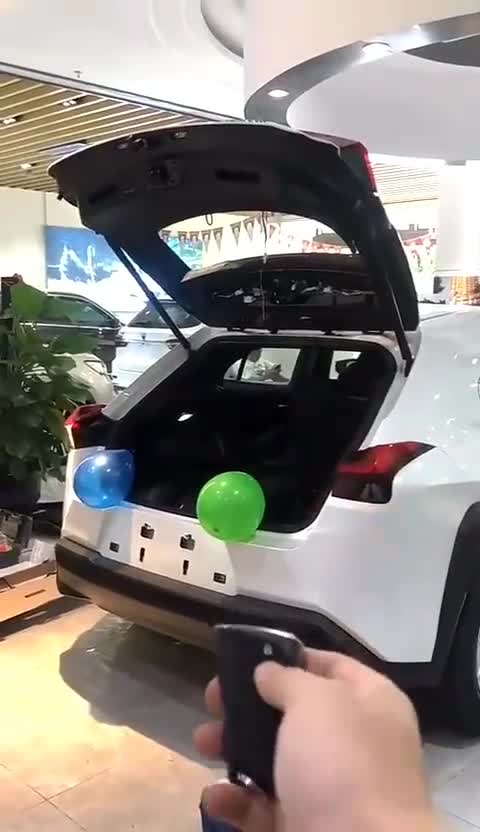 新车型雷克萨斯UX双霍尔感应