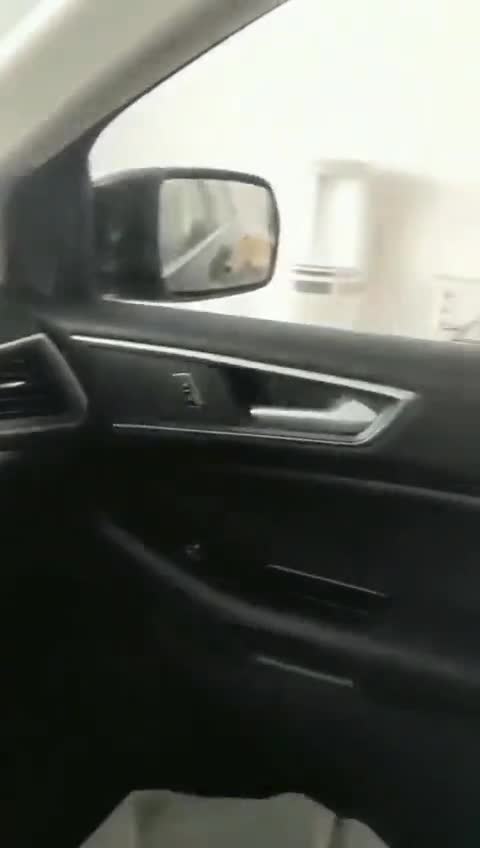 聊一聊全新福特锐界。