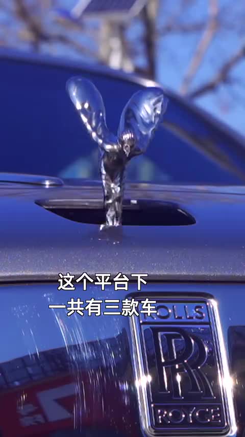 保养贵，油耗少，4S店少，车门安反了，这车真不知道哪好