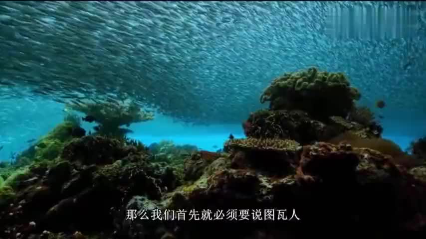 d018-ixeeiry7195783.jpg