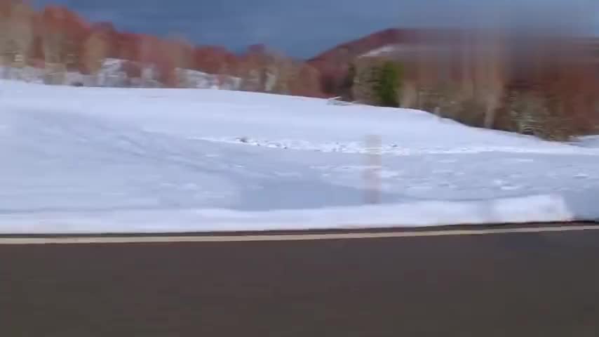 实拍2021保时捷Taycan-外观内饰