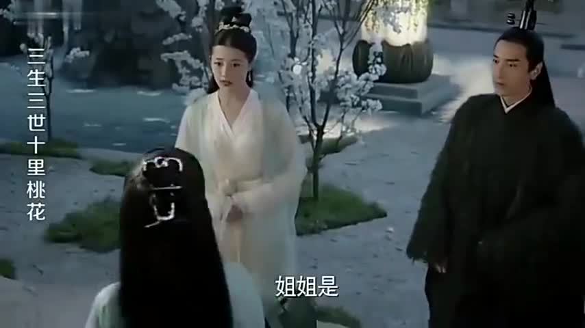 三生三世十里桃花:白浅做了一首诗,缪清听后立马跪下