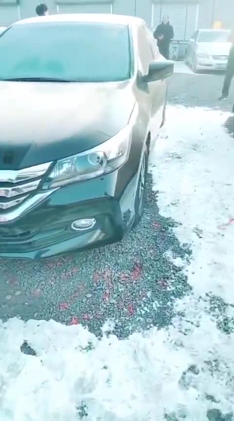 拍个我最爱的拉货Q8奥迪全新奥迪