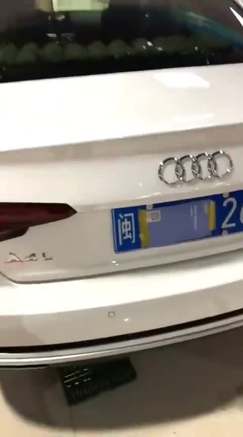 新款奥迪【A4L】