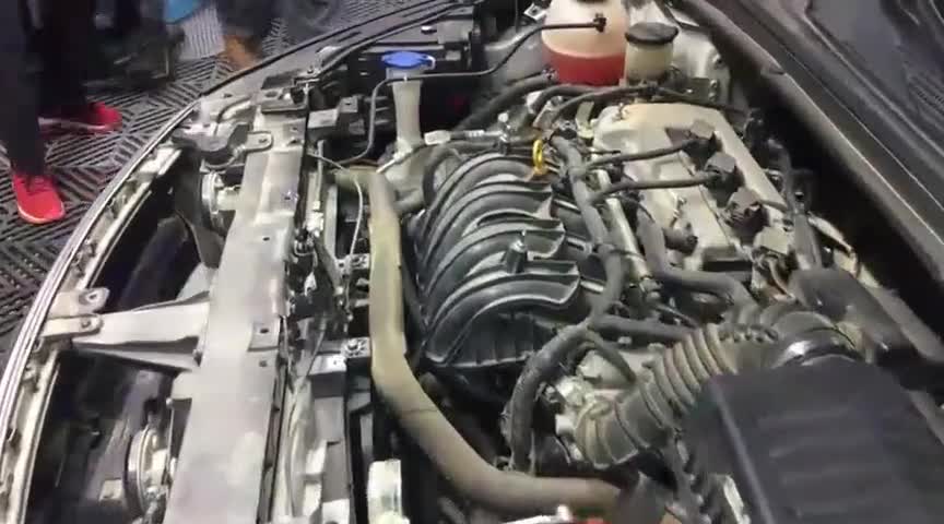 清洗一下爱车发动机。