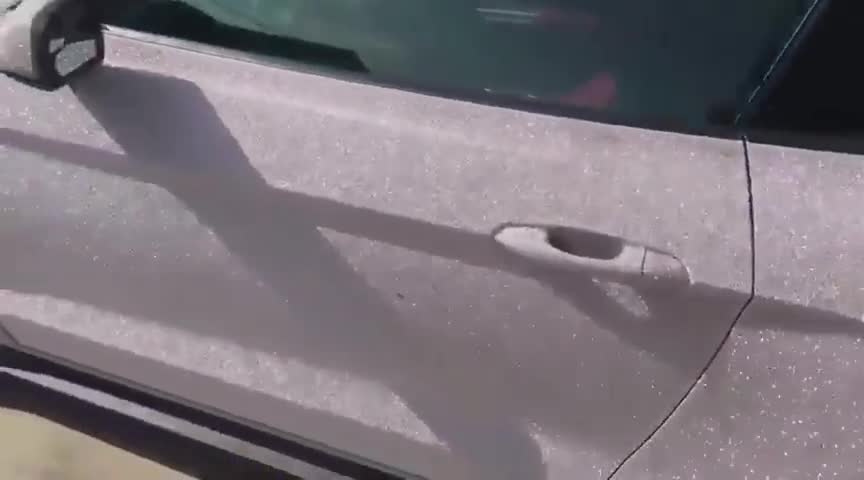 爱车养护贴膜这颜值无敌了