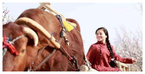 为参加《星光大道》,花费120万负债40万,崔苗如今过成这样休闲区蓝鸢梦想 - Www.slyday.coM 为参加《星光大道》,花费120万负债40万,崔苗如今过成这样休闲区蓝鸢梦想 - Www.slyday.coM