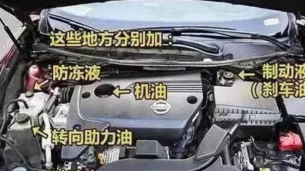 车上各种油液多久换一次？别再找了，都给你整理好了