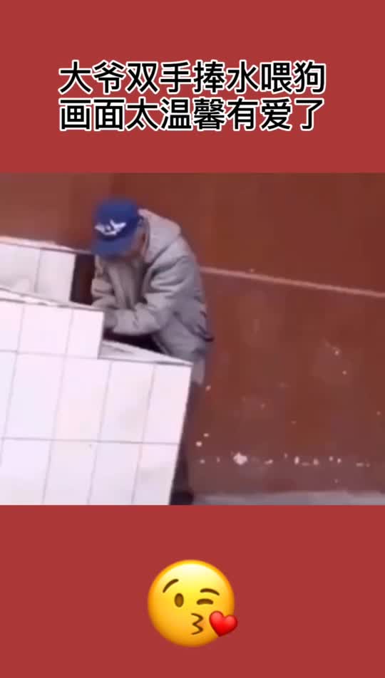 大爷双手捧水喂狗,画面太温馨有爱了,这才是爱狗人士啊