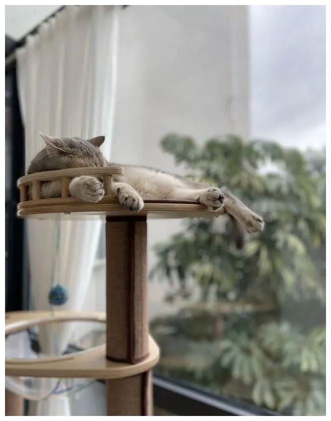 刚需两房变三房,厨房放大1.5倍,火箭式提高生活质量