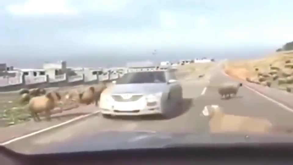 监控实拍：美女司机倒车入库，这操作，再次证实她们真的不行