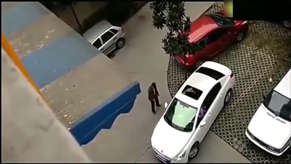 实拍奇葩女司机倒车，整个过程亮了