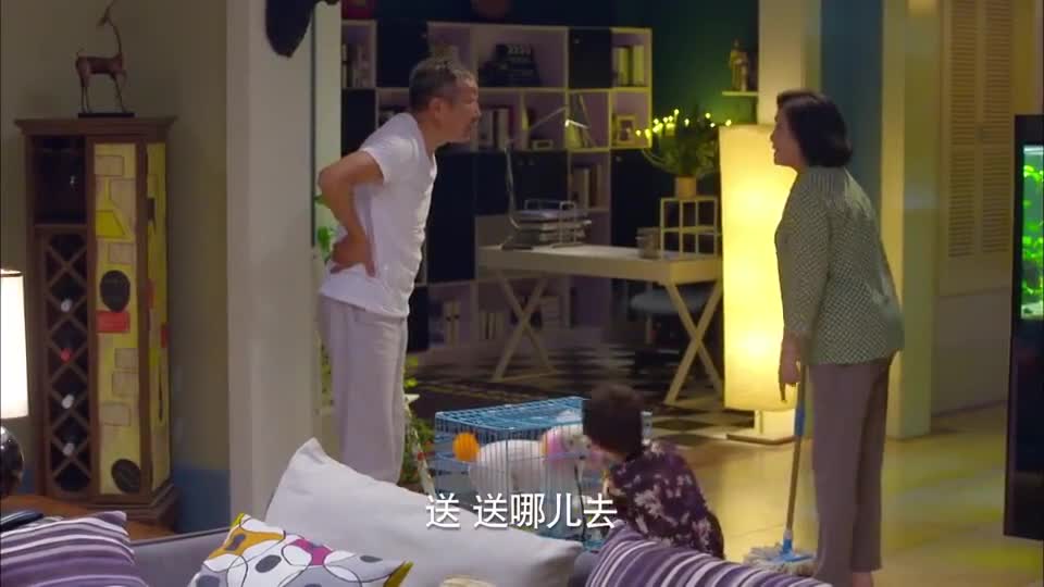 淘气爷孙:熊孩子犯错被老爸骂一句,谁料四个老人怒了