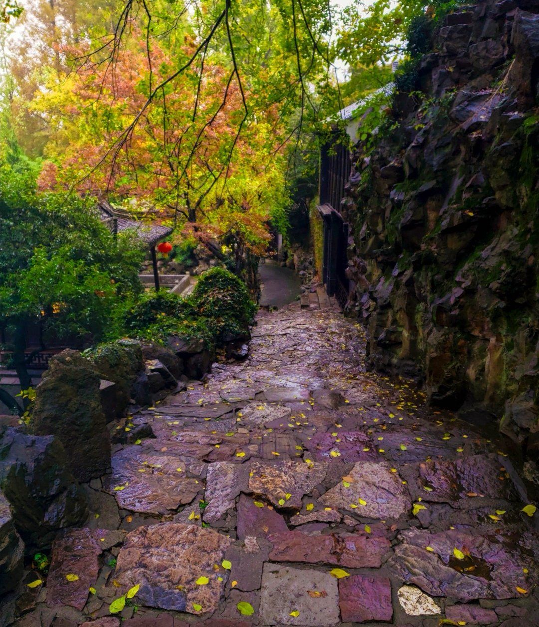 秋风秋雨秋渐凉,秋叶秋水秋意浓,摄影,美图