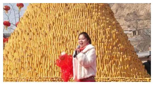 为参加《星光大道》,花费120万负债40万,崔苗如今过成这样休闲区蓝鸢梦想 - Www.slyday.coM 为参加《星光大道》,花费120万负债40万,崔苗如今过成这样休闲区蓝鸢梦想 - Www.slyday.coM