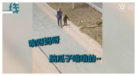 妈妈无奈地提溜着孩子回家,楼上的邻居目睹这一