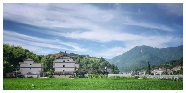 在58省道穿境而过的长垟村,远远就看到连片的稻田,民居就点缀在这样一