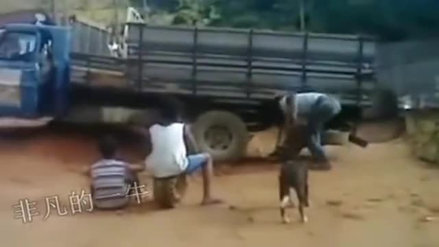 司机错把倒挡当油门，监控实拍掉下悬崖的一瞬间