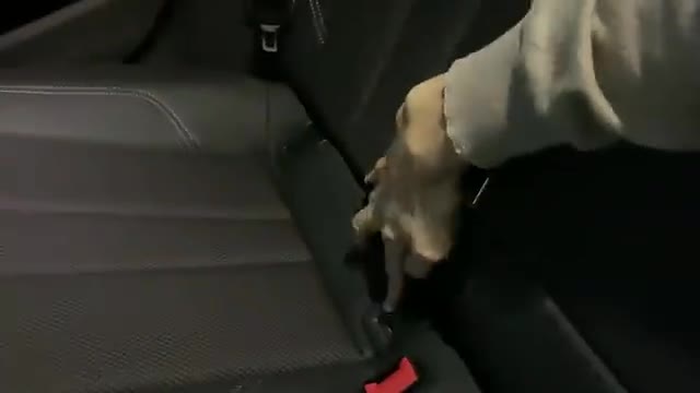 外观实拍分析，2020款奥迪A4SLine