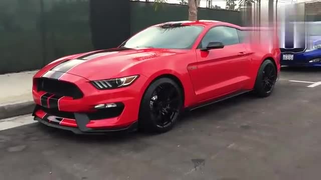 桀骜不驯，实拍红色福特野马shelbyGT