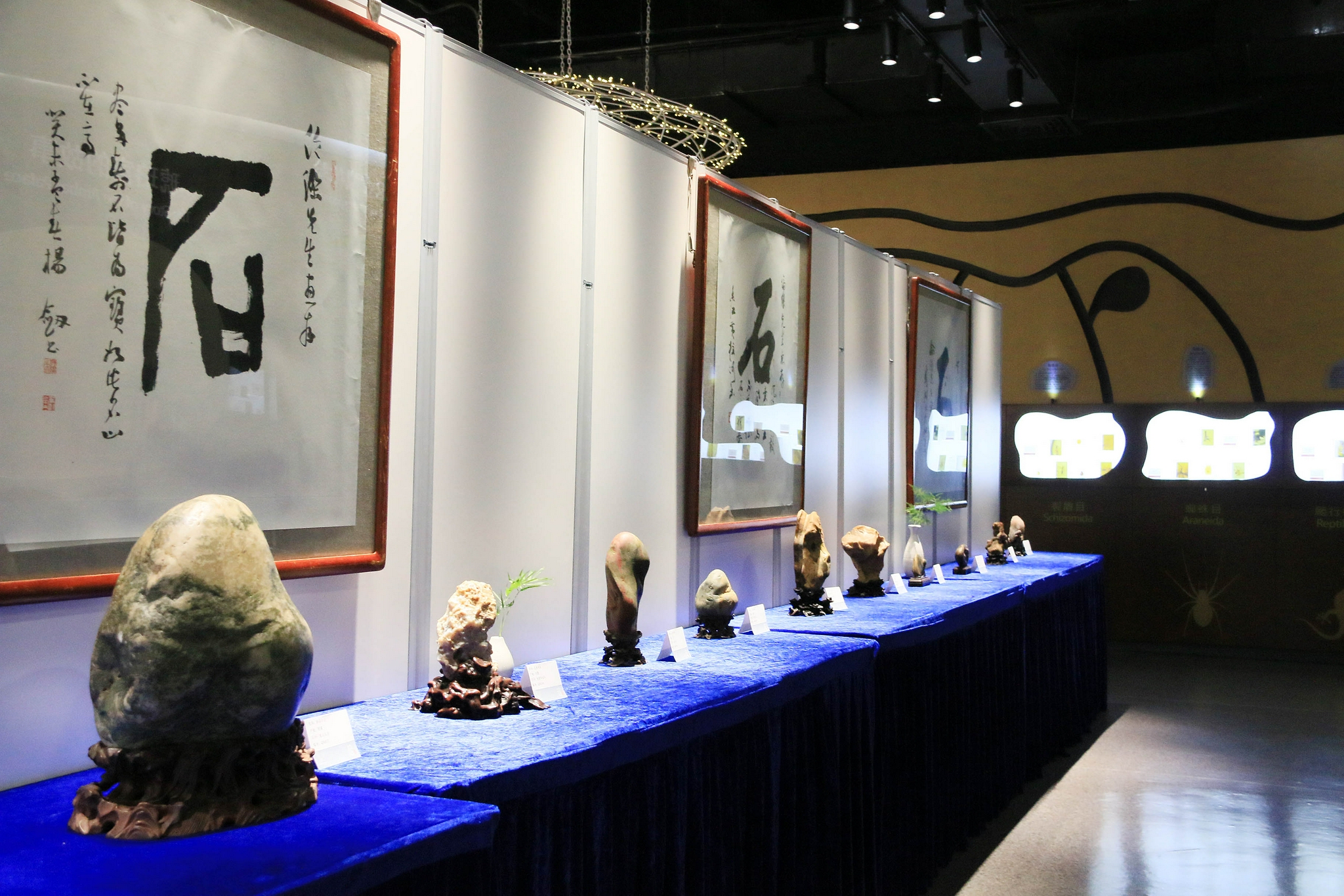 深圳世纪琥珀博物馆举办奇石展 传播中华传统赏石文化
