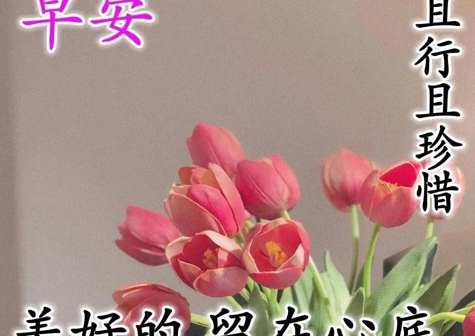7月25周六清晨早安问候祝福动态表情图片