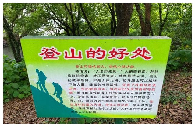 汽车看点 自媒体 正文有时间应该多带孩子们出来爬爬山,好处多多哈!