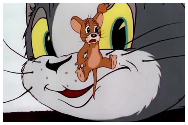 汤姆杰瑞上次大闹银幕还是八十一年前丨揭秘电影版《猫和老鼠》