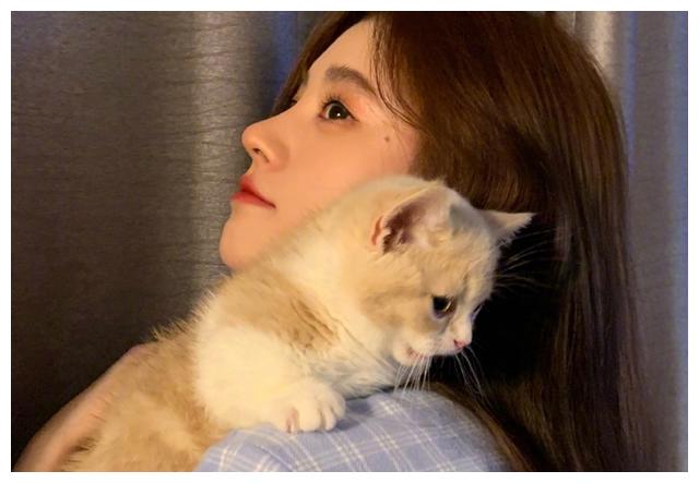 鞠婧祎宅家撸猫,当她和猫咪贴嘴亲亲那一刻,全网男粉不淡定了
