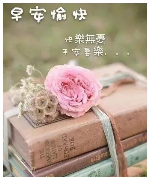 好看的早上好表情图片唯美带字,最新的清晨早安祝福语