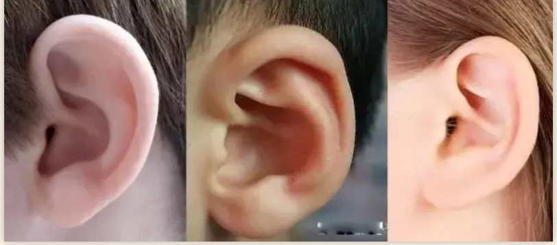 什么样的耳朵能旺运看看里面有没有你的