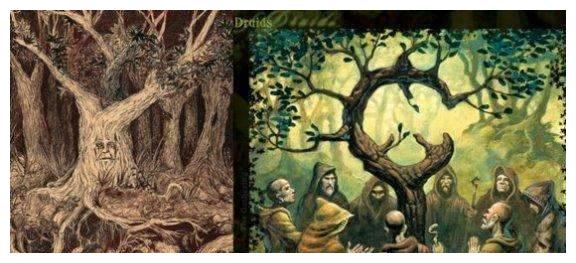 凯尔特人如何运作得到库里战术适配与阵容调整成赛季关键看点