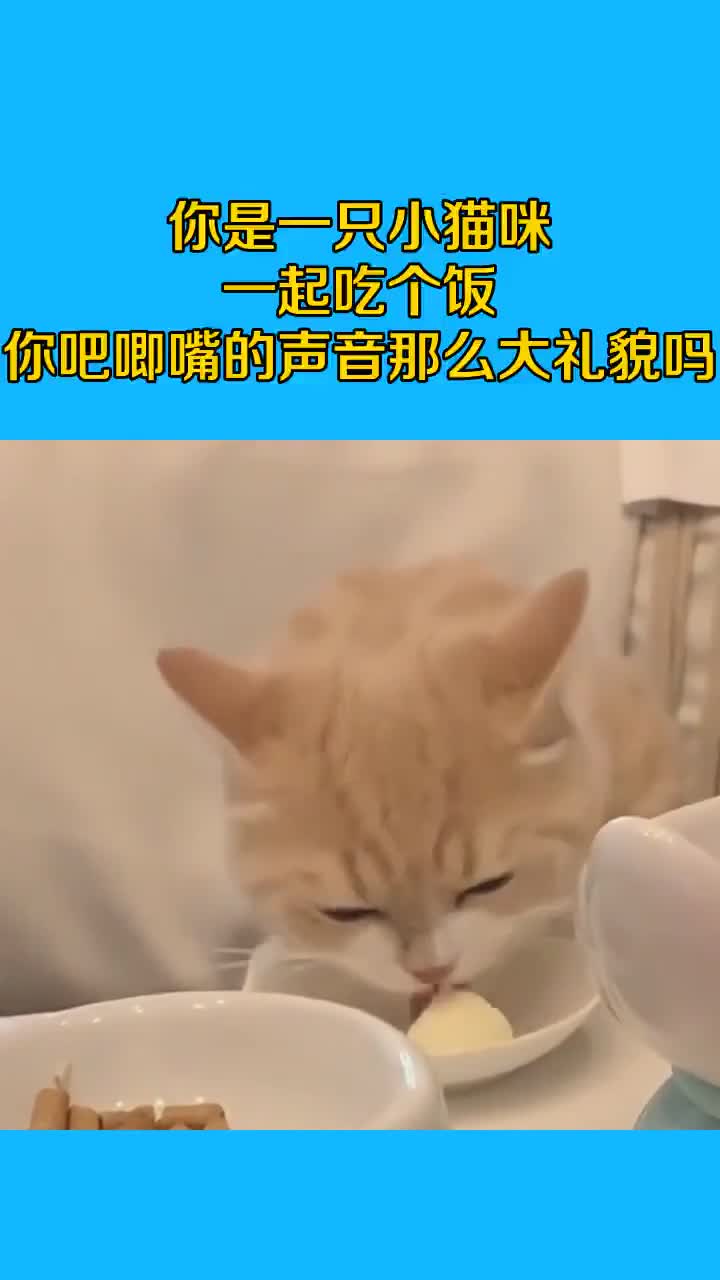 你是一只小猫咪一起吃个饭你吧唧嘴的声音那么大礼貌吗