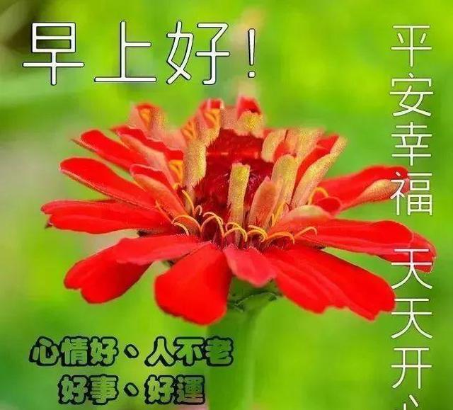 超漂亮的早安心语一句话正能量,早安漂亮图片问候祝福