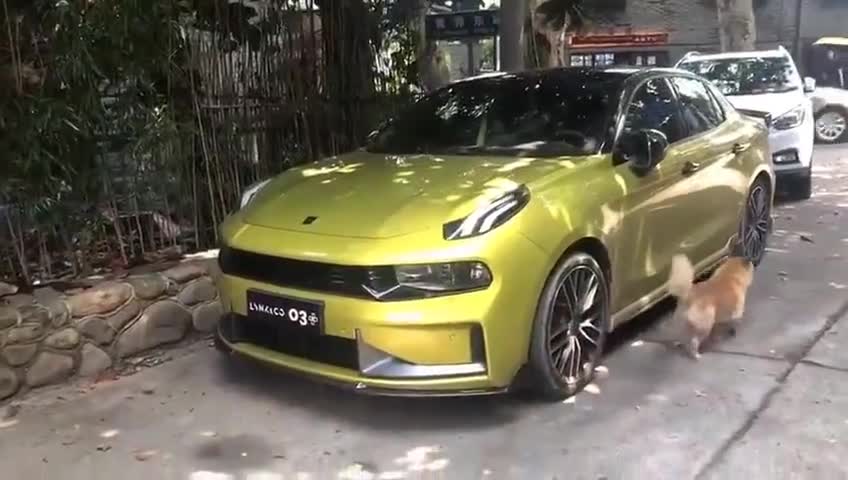 领克03+，国产小钢炮