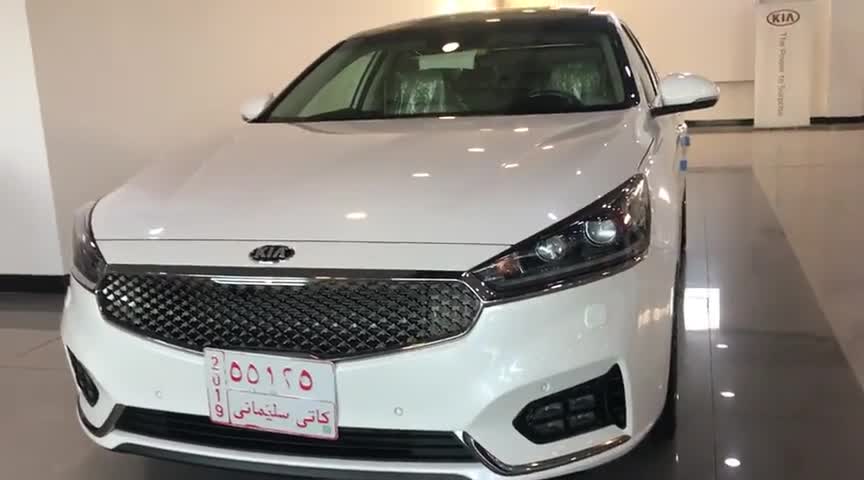 2020款起亚凯尊Cadenza亮相，外观和内饰实拍