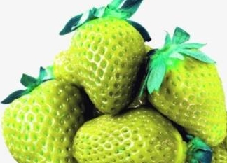 绿色草莓绿色橘子大家有没有见过第4个最好吃了