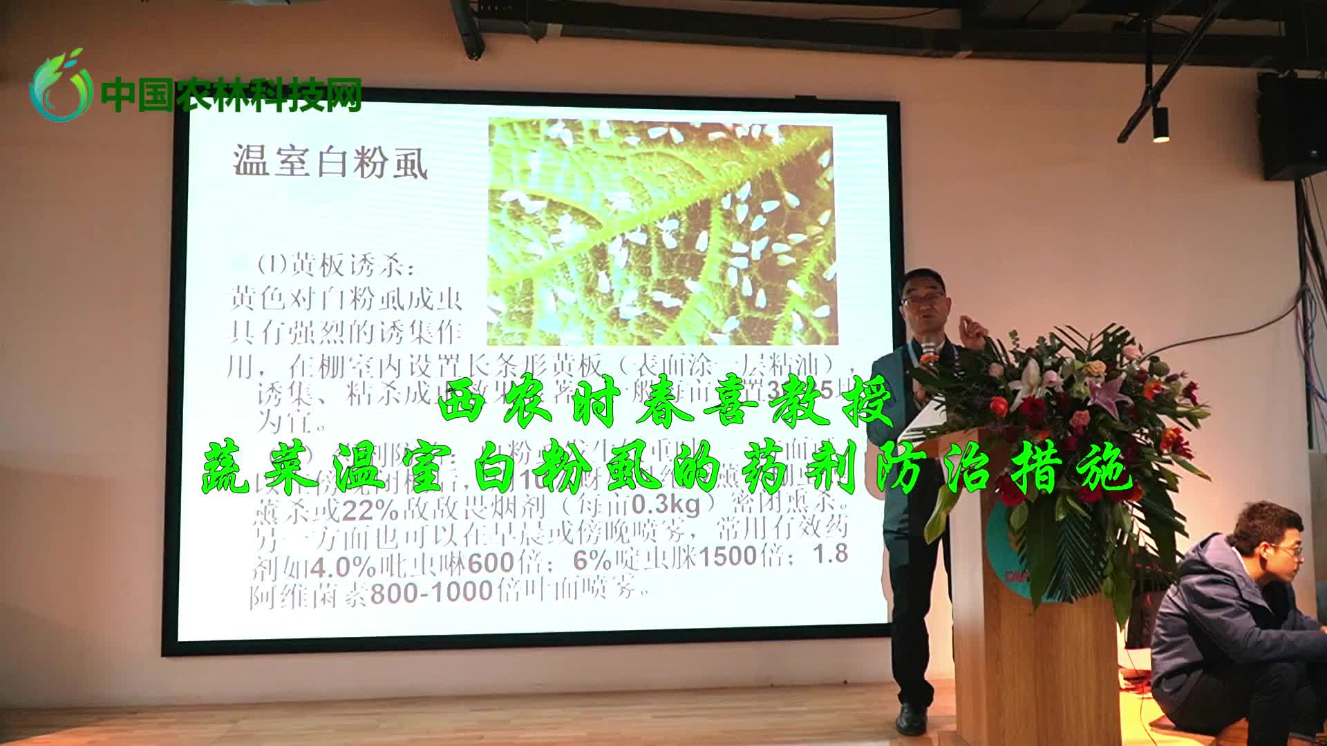 西农时春喜教授：蔬菜温室白粉虱的药剂防治措施