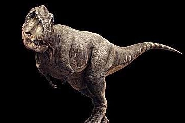浑身鳞片的狰狞恐龙,是它真实的模样吗?真相让人傻眼