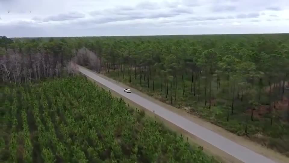 2020款宝马X7海外实拍展示分析